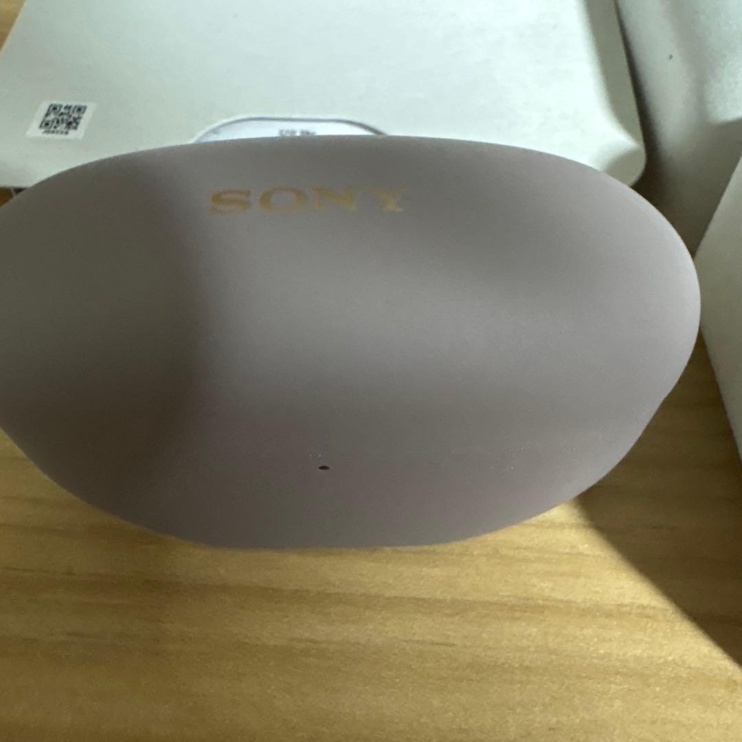 イヤホン SONY WF-1000X M5