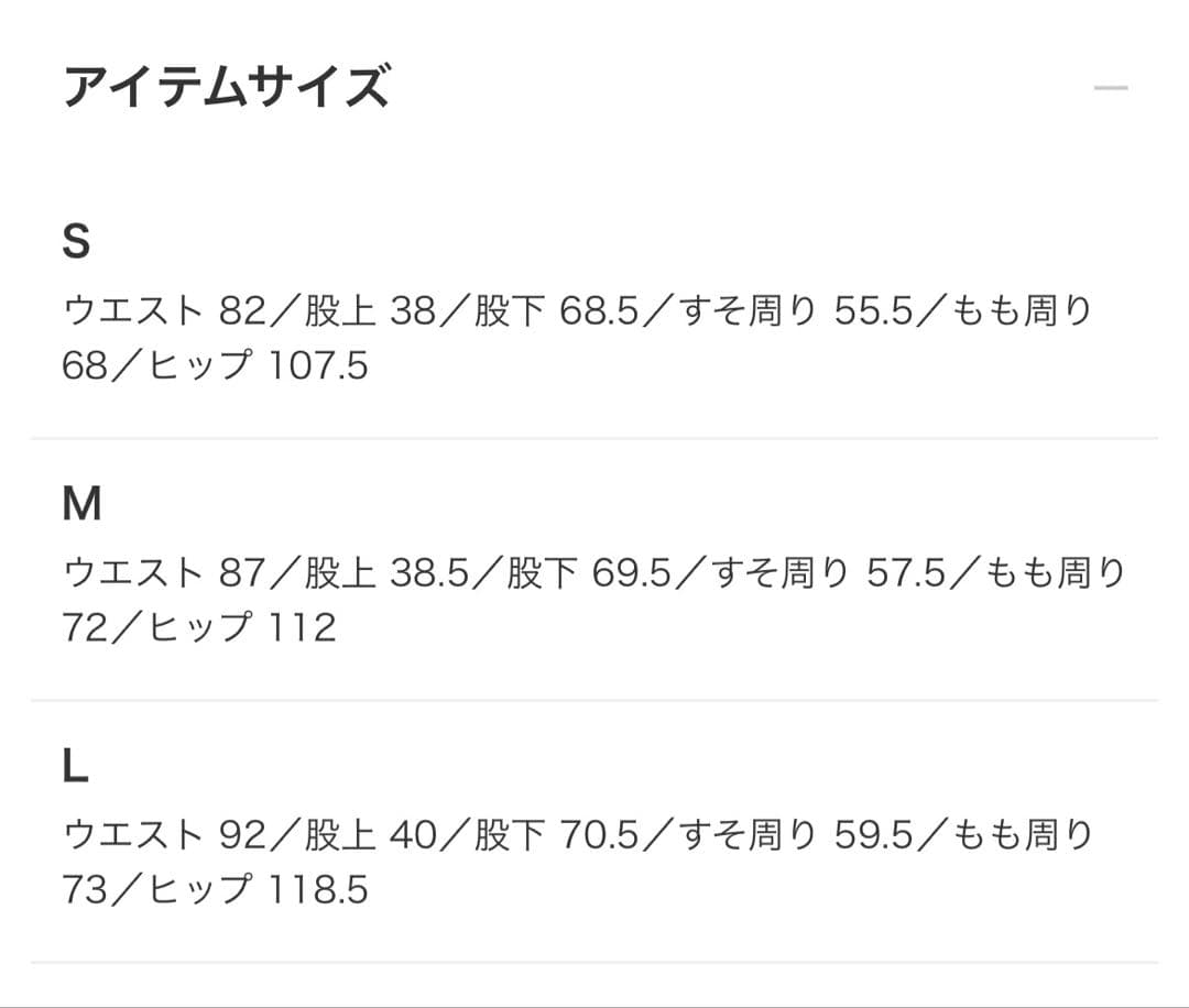 DICKIES FUTURE ARCHIVE バギーパンツ　Mサイズ