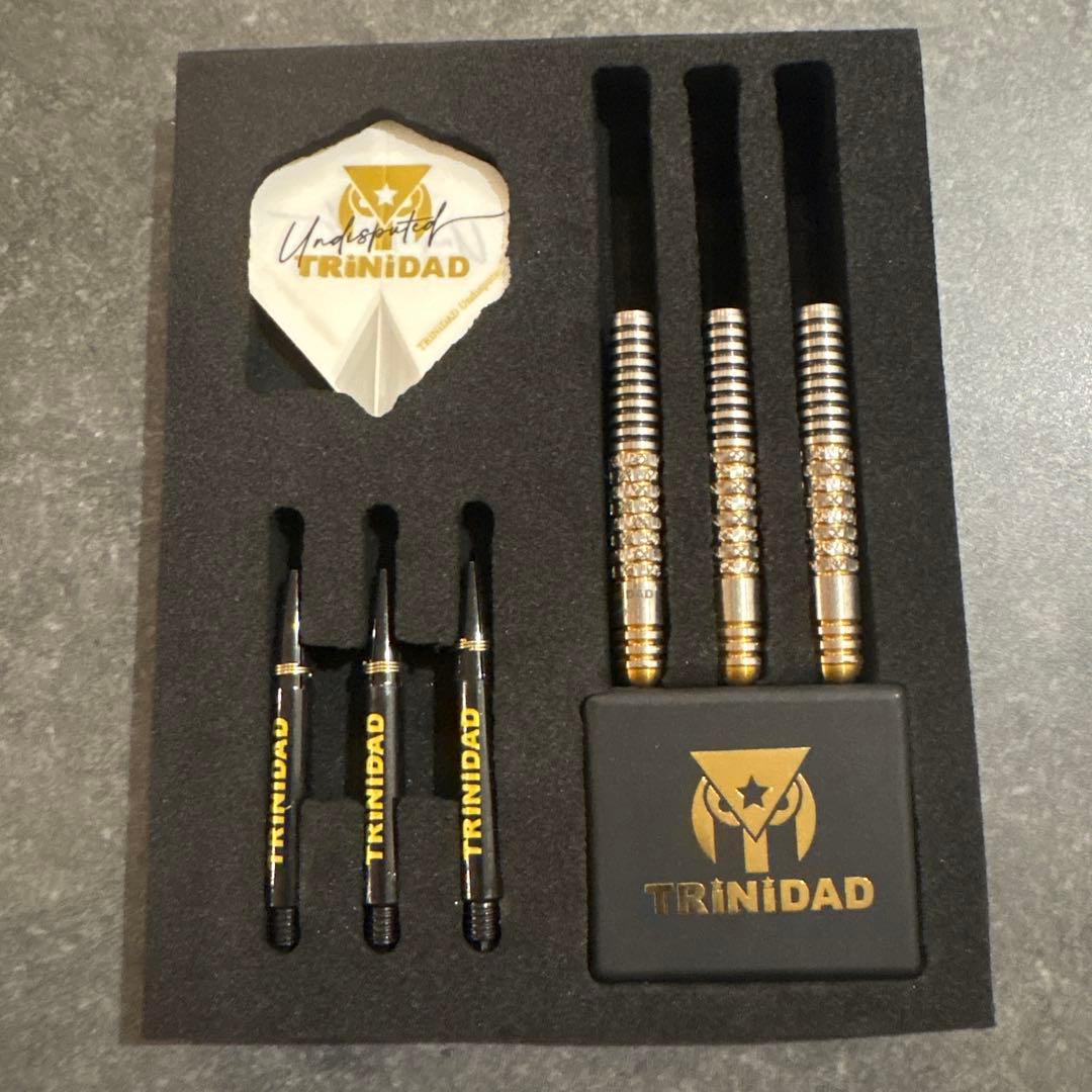 RICARDO α Steel ダーツ ハード トリニダード 浅田斉吾モデル