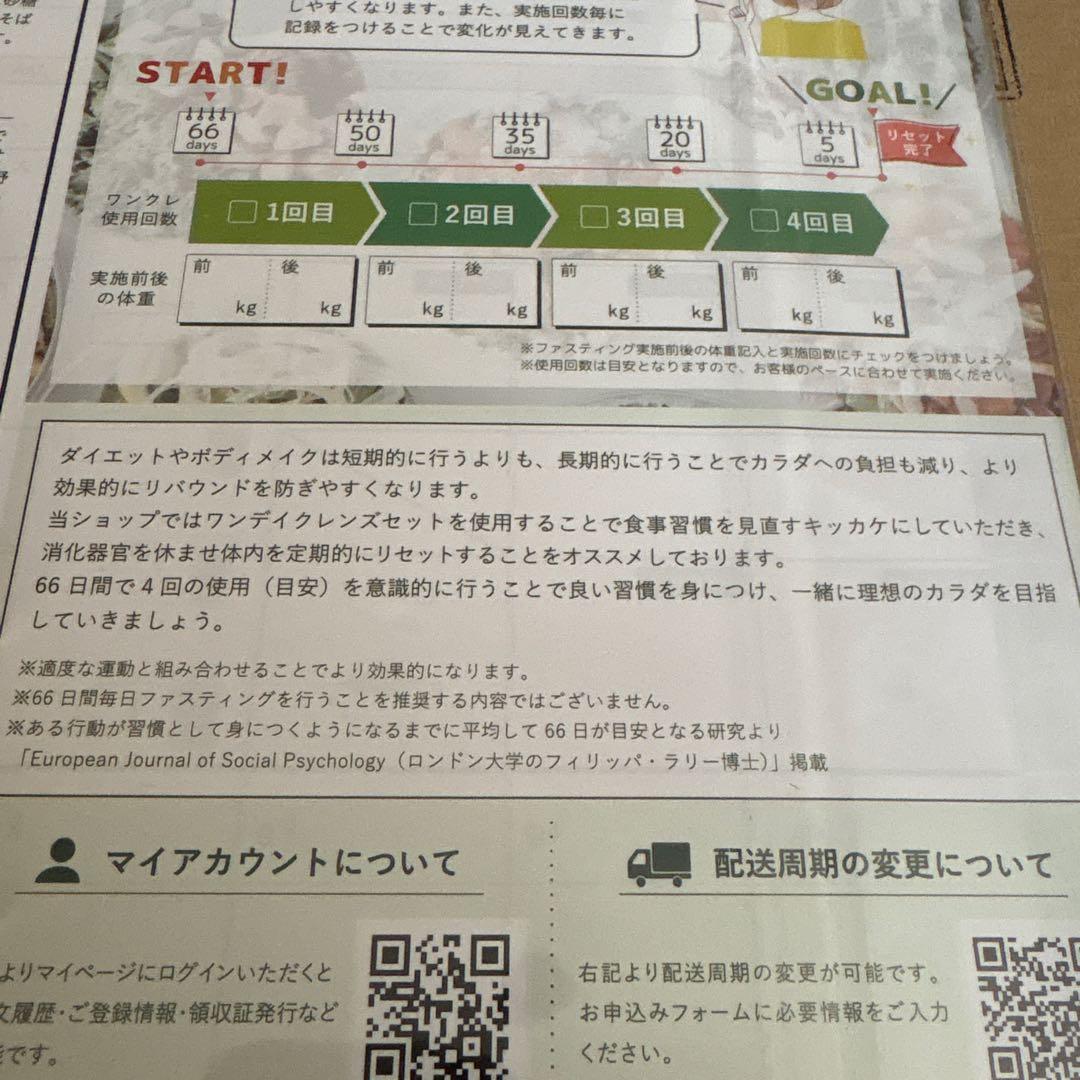 即日発送GREEN BROTHERS 1DAY CLEANSE SET 3回分