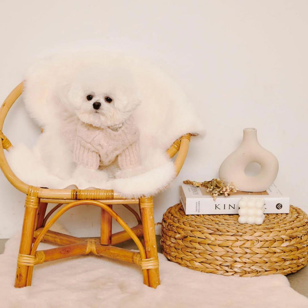 モンシェリ　【リンクコーデSET】ケーブルドロップショルダーニット　Mサイズ