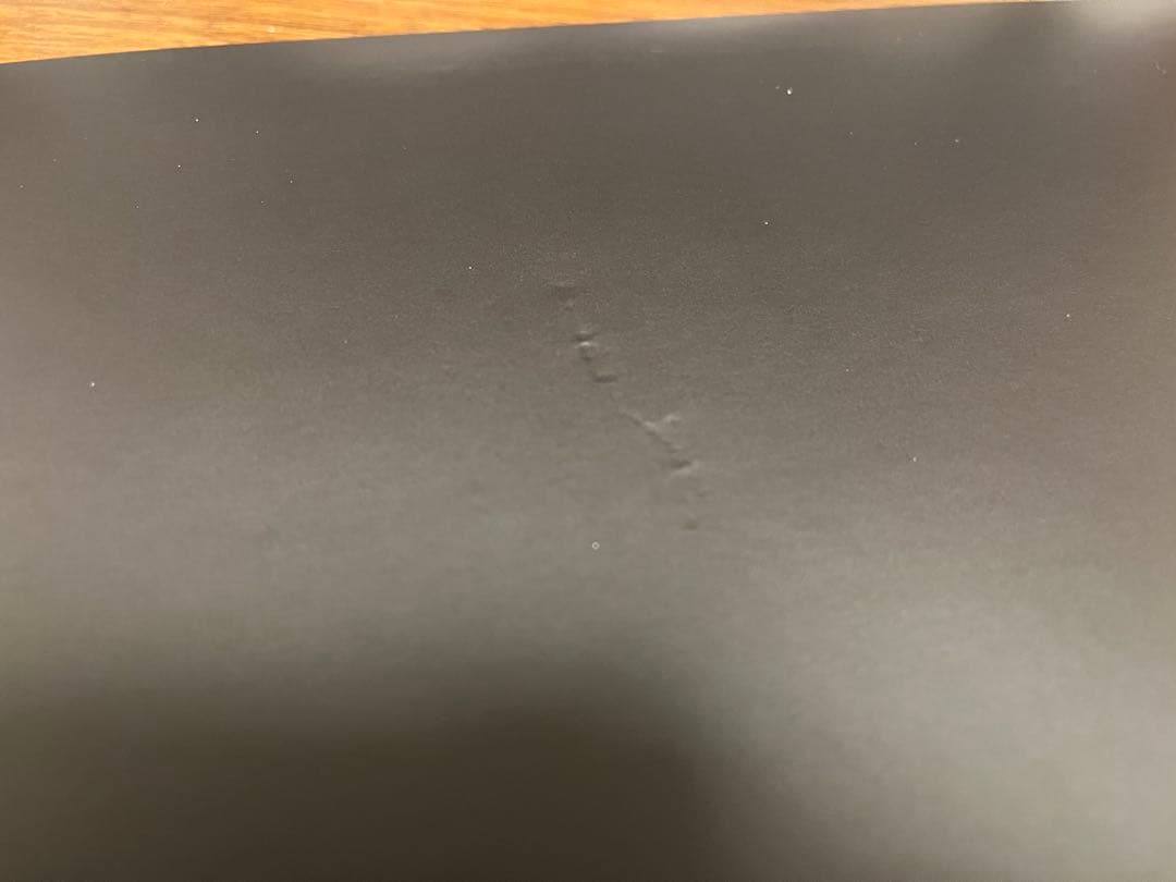 ふー様　米津玄師　CD YANKEE Bremen BOOTLEG