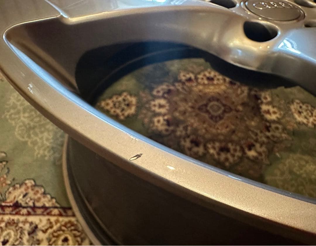 ぽむ　アウディ　ホイール4本　WSP ITALY 20インチ　ホイール