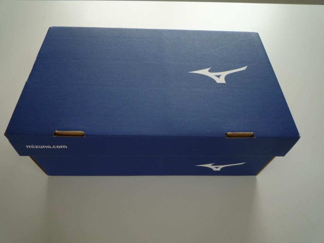 MIZUNO ミズノ フットサルシューズ レビュラ SALA 25.5cm