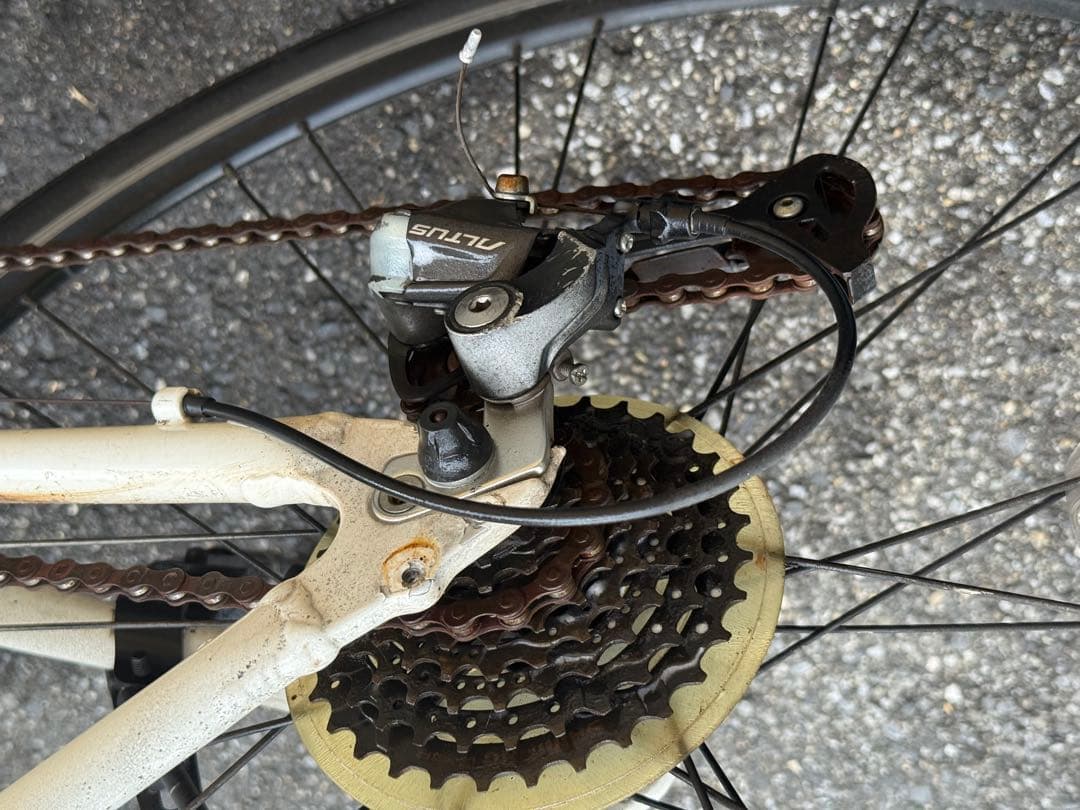 ニ*☆様 ブリヂストン　CYLVA F24 (シルヴァF24) ホワイト クロス