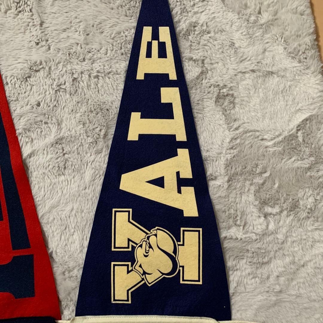 JD　【アメリカ小物】布製テナント　IVY　大学