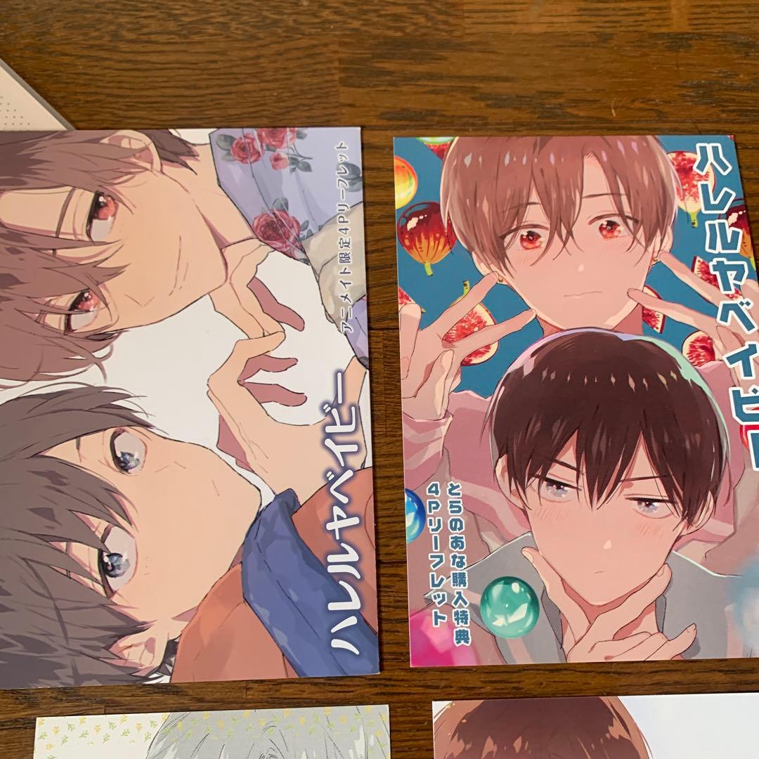 仔縞楽々先生  ハレルヤベイビー