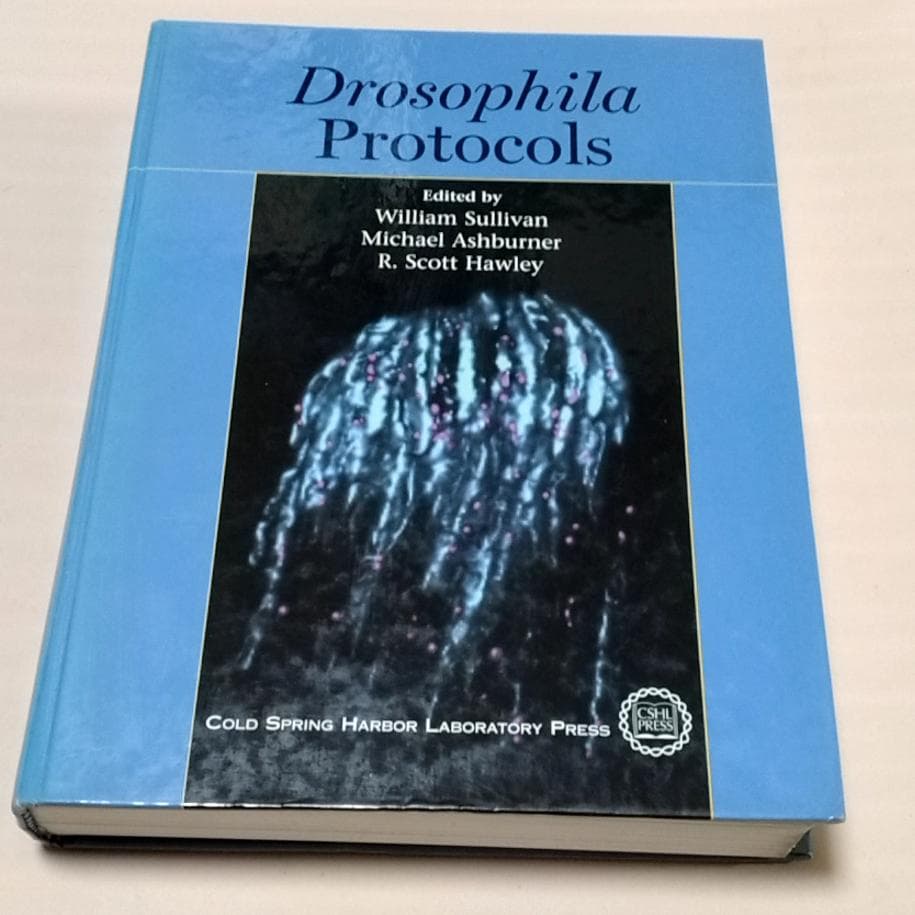 Drosophila Protocols ショウジョウバエ プロトコル