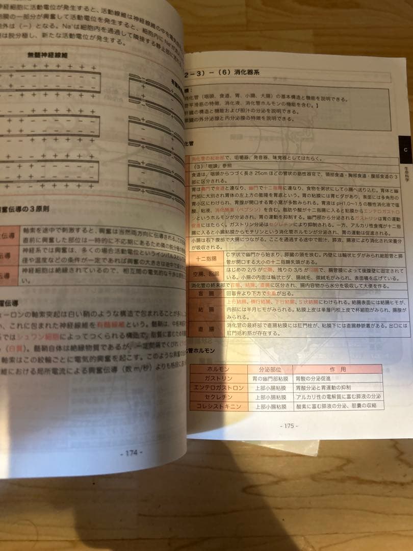 CBT辞典　　　　　　　Ｐ