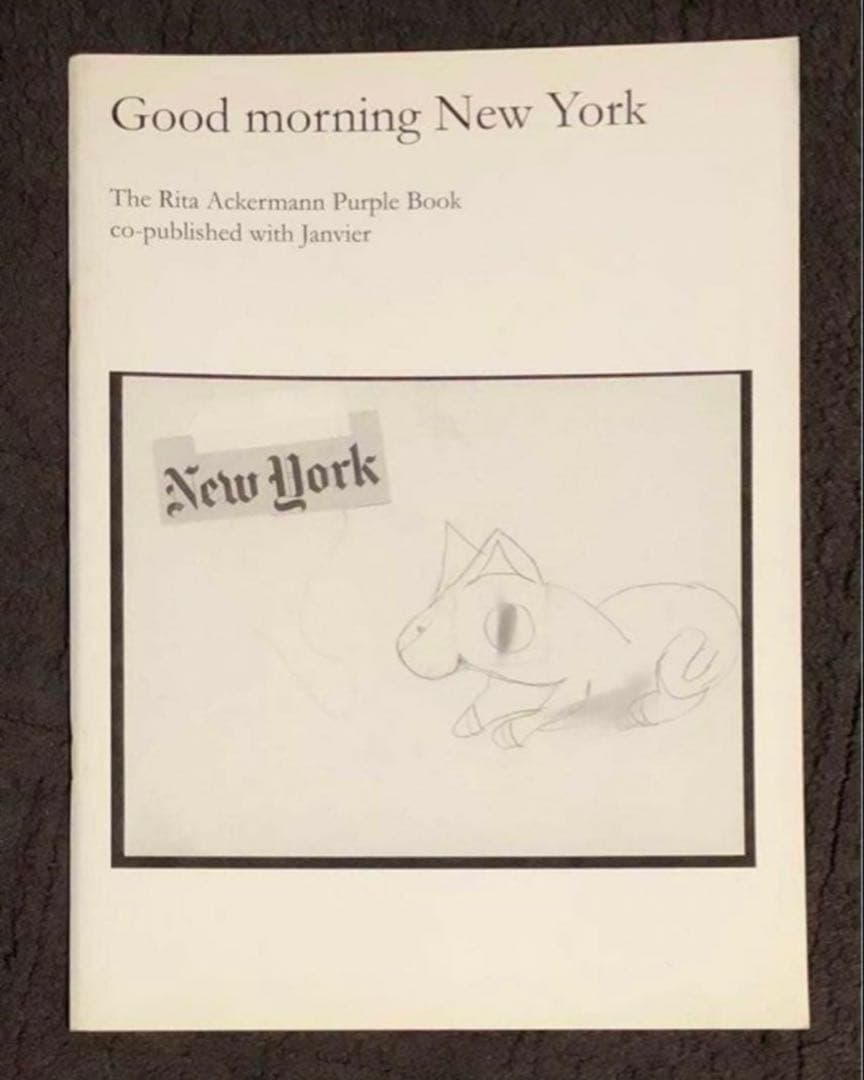 絶版‼️ Rita Ackermann ドローイング集 sonic youth