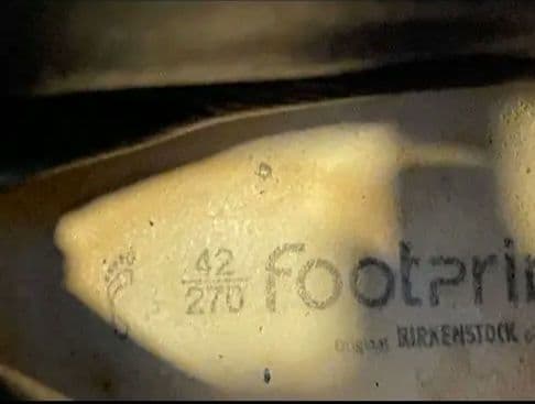 Footprints　Hickory　42