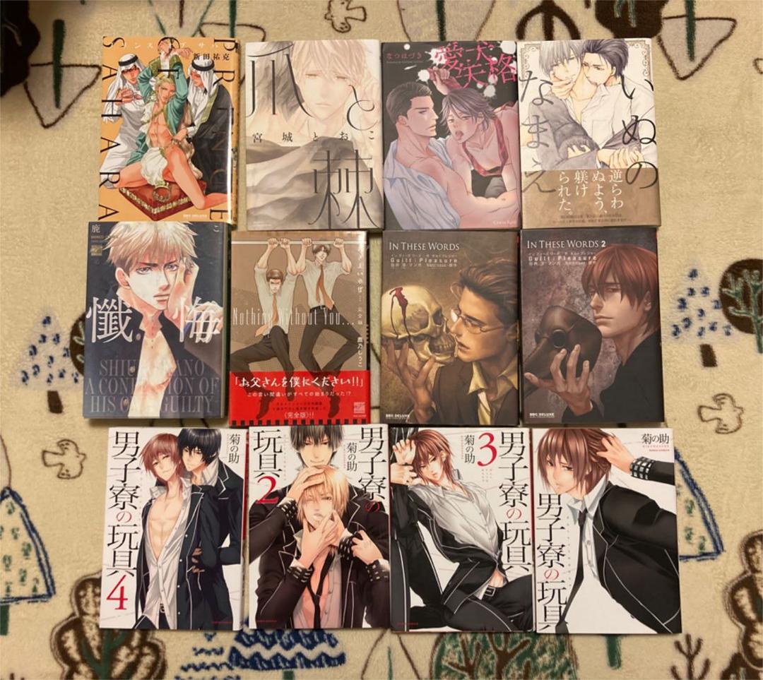 BL漫画 24冊 まとめ売り 鹿乃しうこ 新田祐克 菊の助