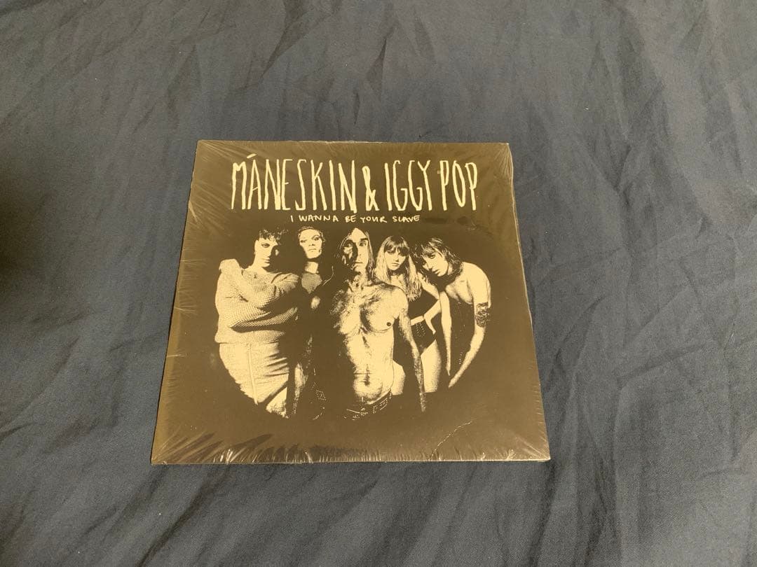 F*A様 Måneskin I wanna be your slave