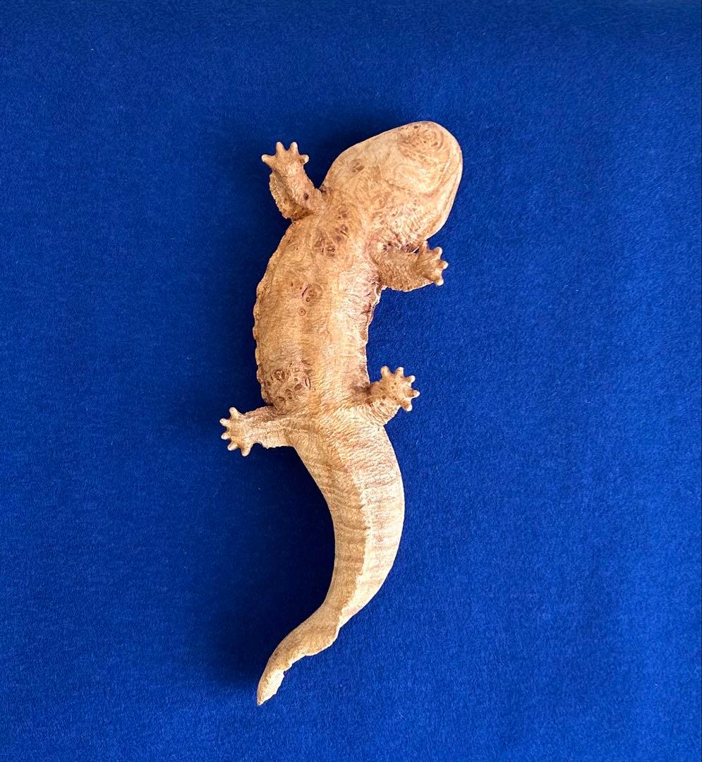 田中鱗水 メープル瘤材彫オオサンショウウオ 木彫 26cm 125.52g