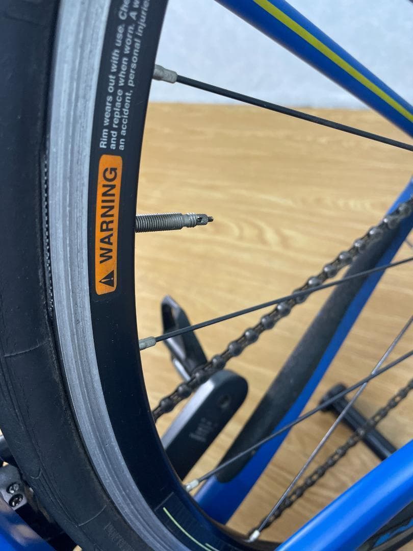 SS★★961 ヒマワリ 　直接引き取り