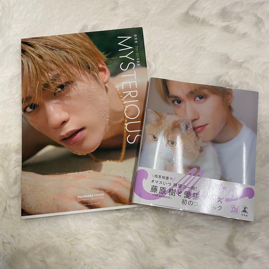 THE RAMPAGE 長谷川慎 藤原樹 グッズ アクリルスタンド まとめ売り