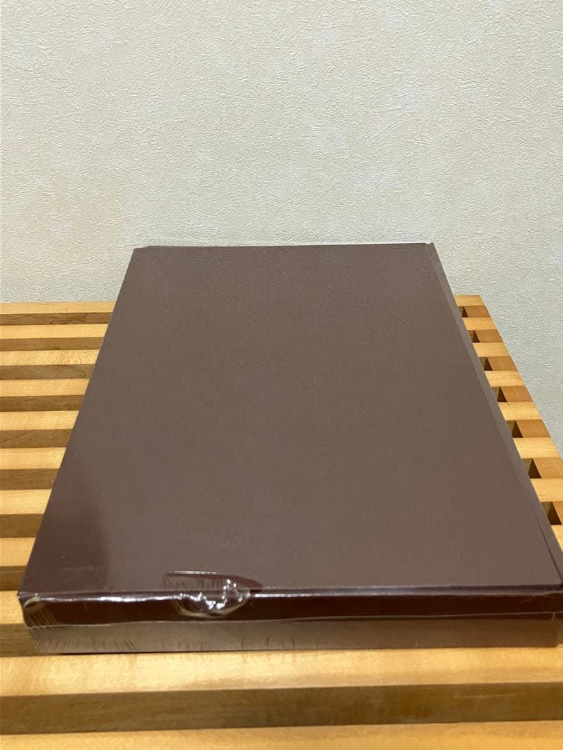 レア ブラウンバニー Brown Bunny映画 DVD ヴィンセント ギャロ