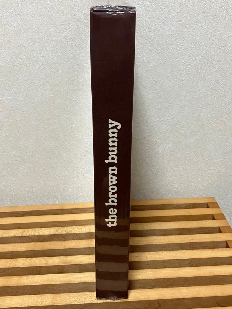 レア ブラウンバニー Brown Bunny映画 DVD ヴィンセント ギャロ