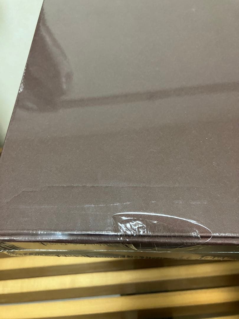 レア ブラウンバニー Brown Bunny映画 DVD ヴィンセント ギャロ