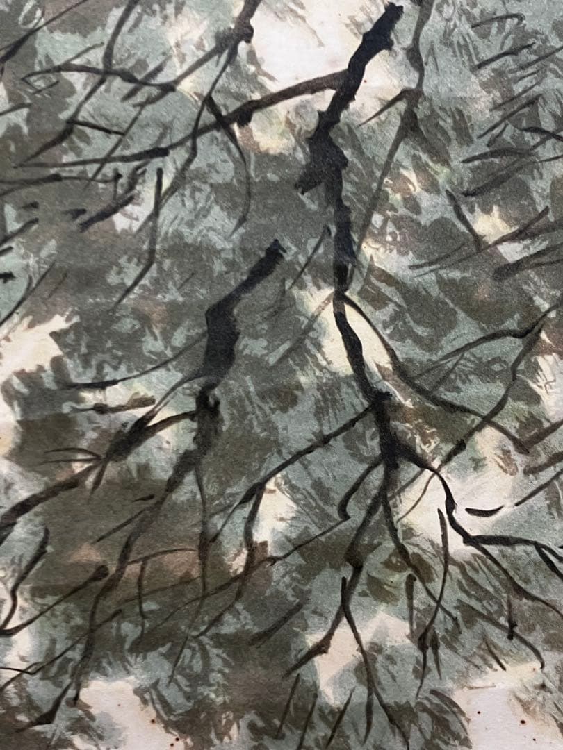 掛け軸 作:川合玉堂 題:清陰釣客水車新緑 双幅 掛軸 茶掛