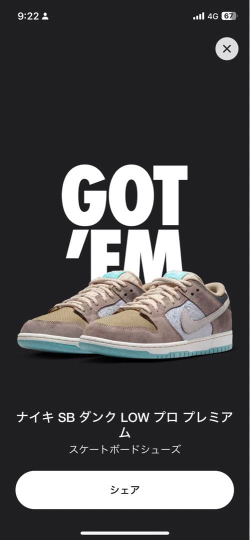 靴 Nike SB Dunk Low Pro \
