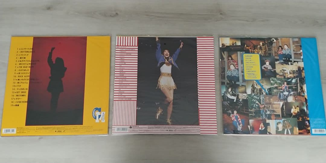 森高千里　レーザーディスク　合計11枚