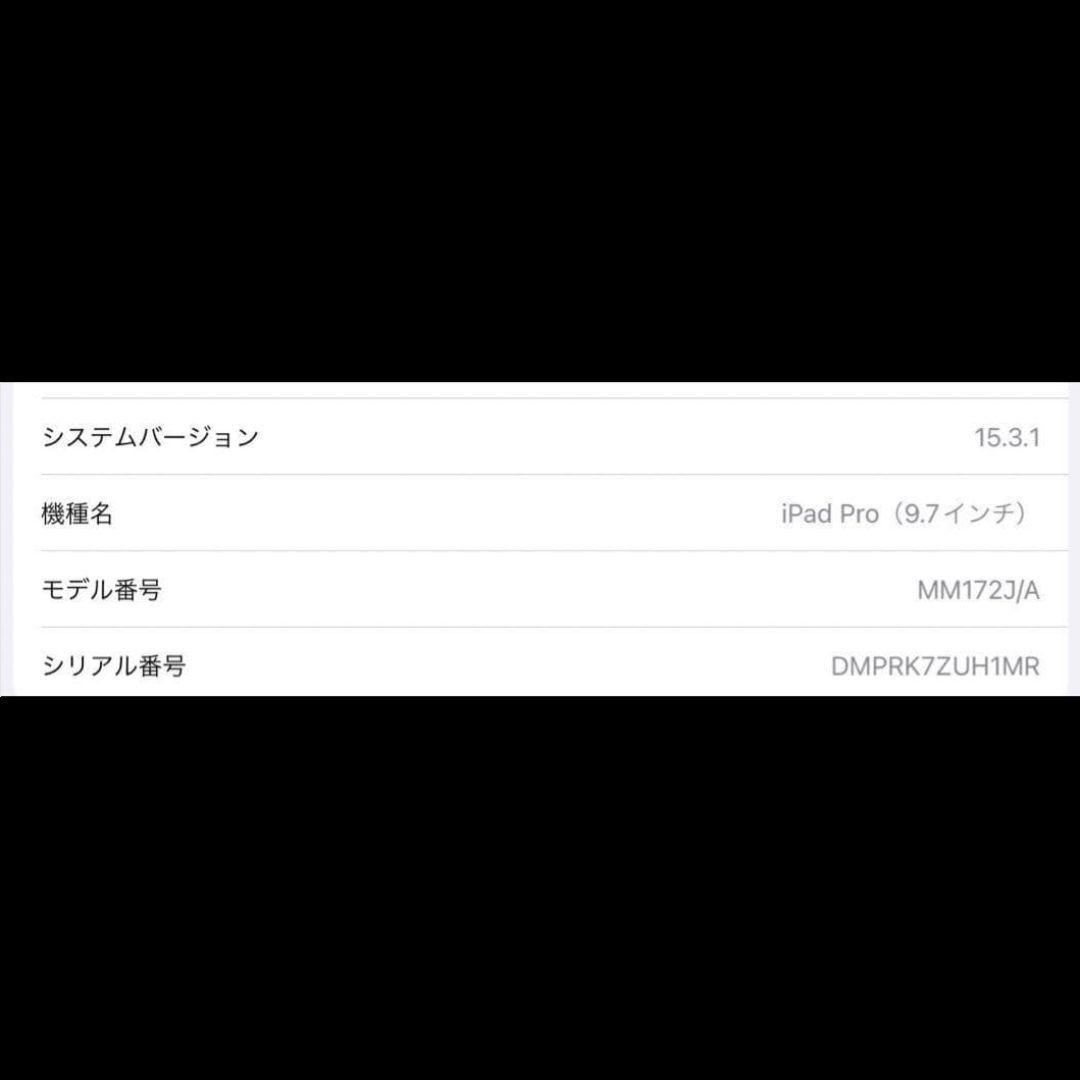 iPad Pro 9.7インチ 第一世代 /Apple Pencil付き