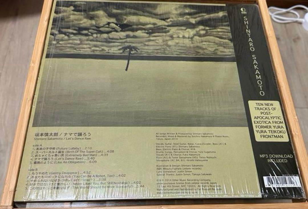 坂本慎太郎　ナマで踊ろう　レコード　海外版