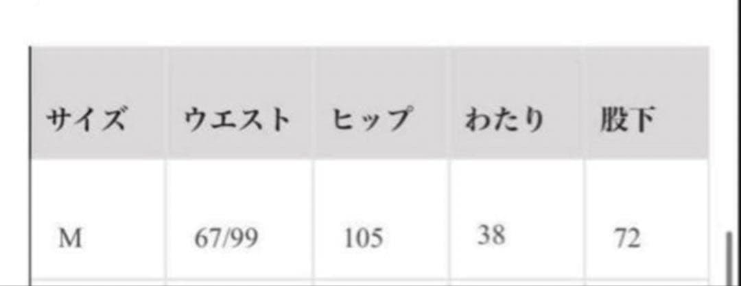 jentlouis レザーパンツMサイズ