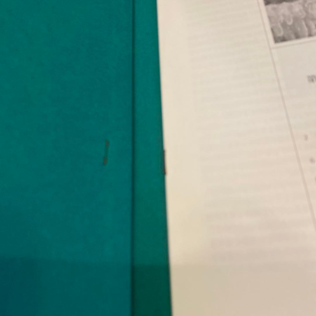 最終値下 世界美術大全集 西洋編② 7~12巻 小学館