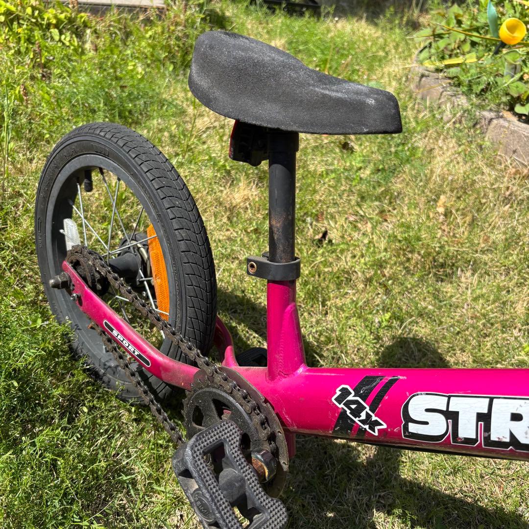 自転車本体 Exotic jungle