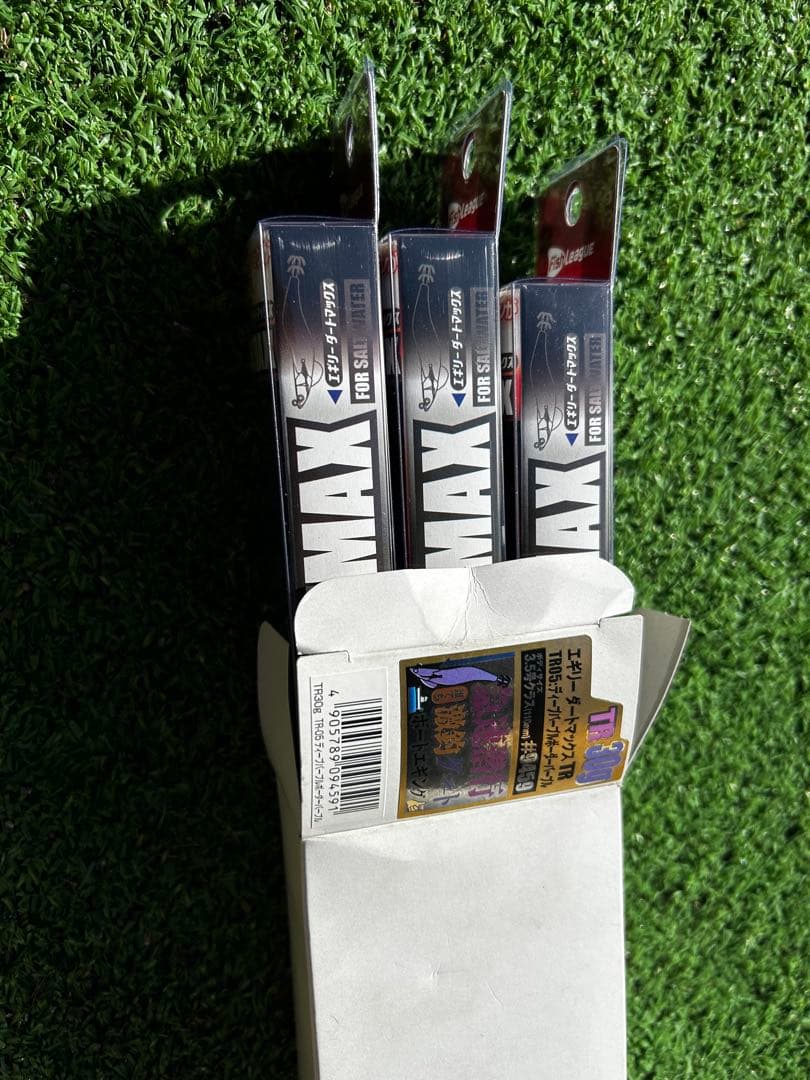 エギリー ダートマックスTR30 TR-05 ディープパープル ボーダーパープル