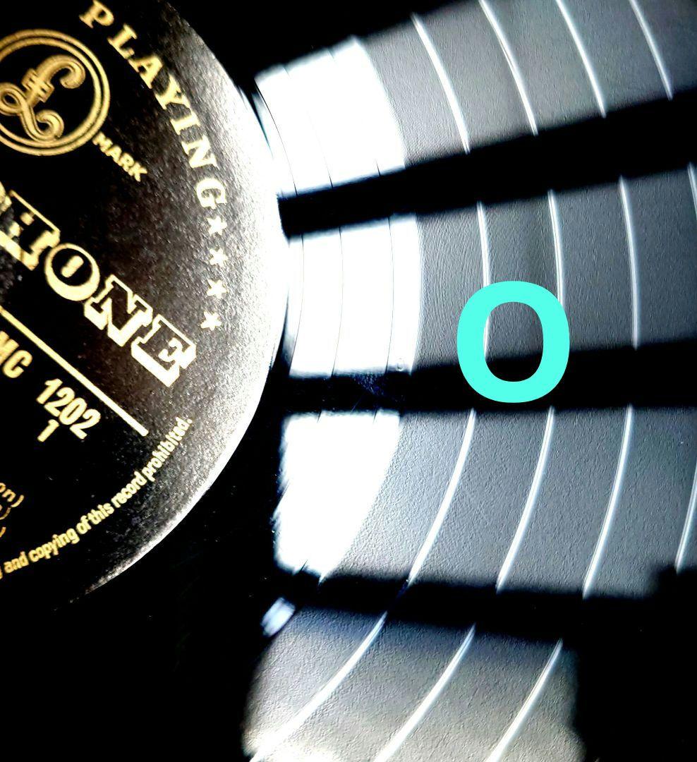 UK盤The Beatles Please Please Me