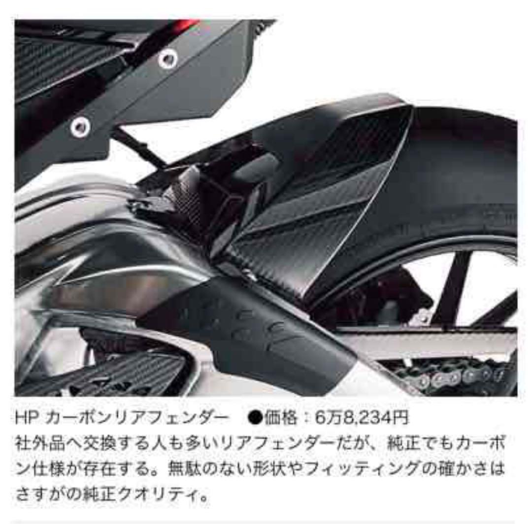 S1000RR HP カーボンリアフェンダー チェーンガード セット