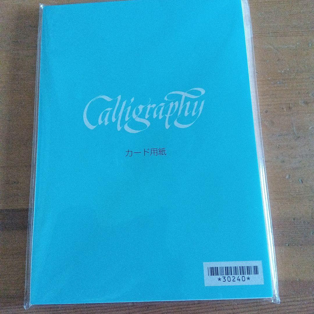 カリグラフィー 書籍と用紙、器材一式セット