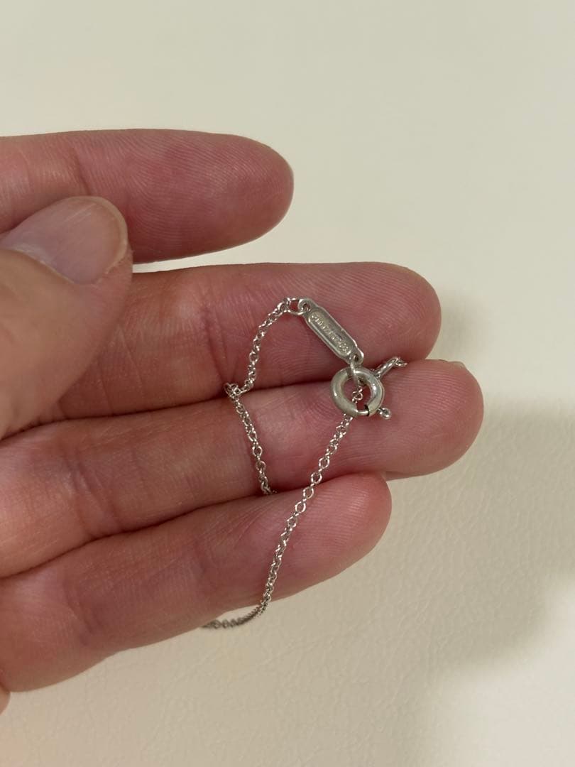 Tiffany & Co. 1837インターロッキングサークルネックレス ペア