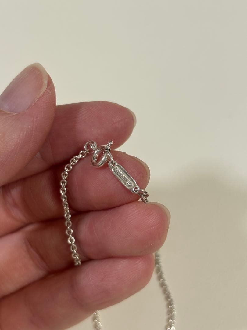 Tiffany & Co. 1837インターロッキングサークルネックレス ペア