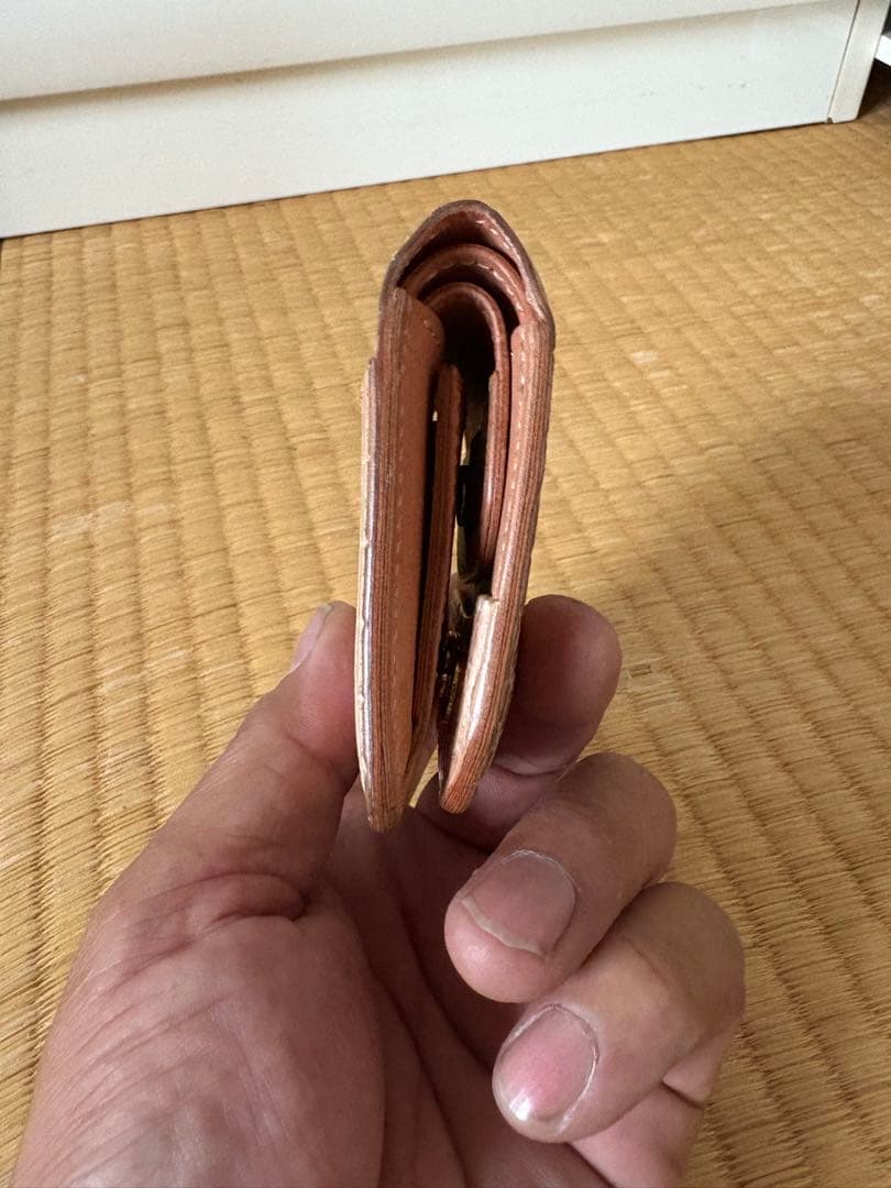 ワイルドスワンズ　カーサクロコダイル