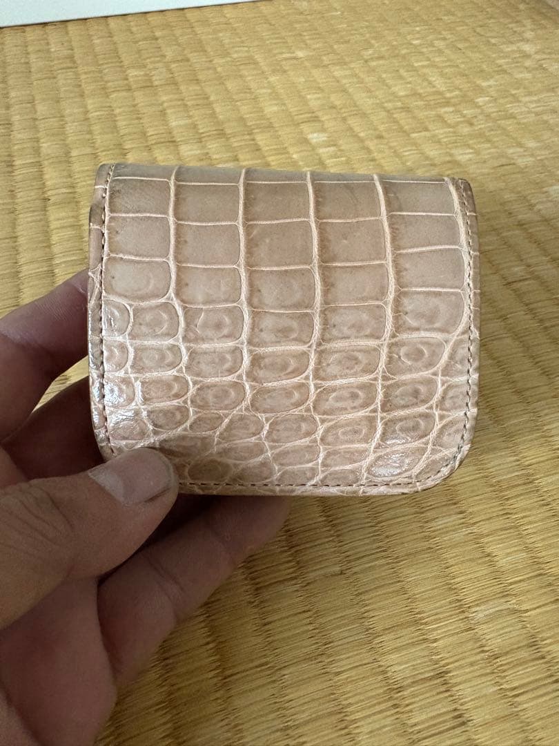 ワイルドスワンズ　カーサクロコダイル