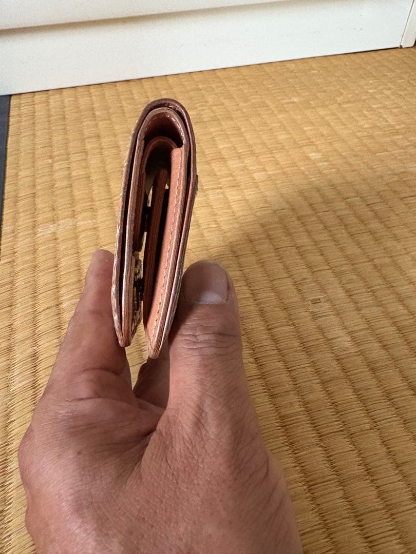 ワイルドスワンズ　カーサクロコダイル