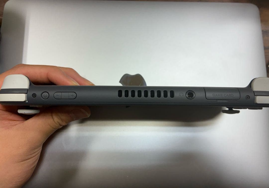 Nintendo Switch Lite 本体 グレー、純正充電器、本体ケース付