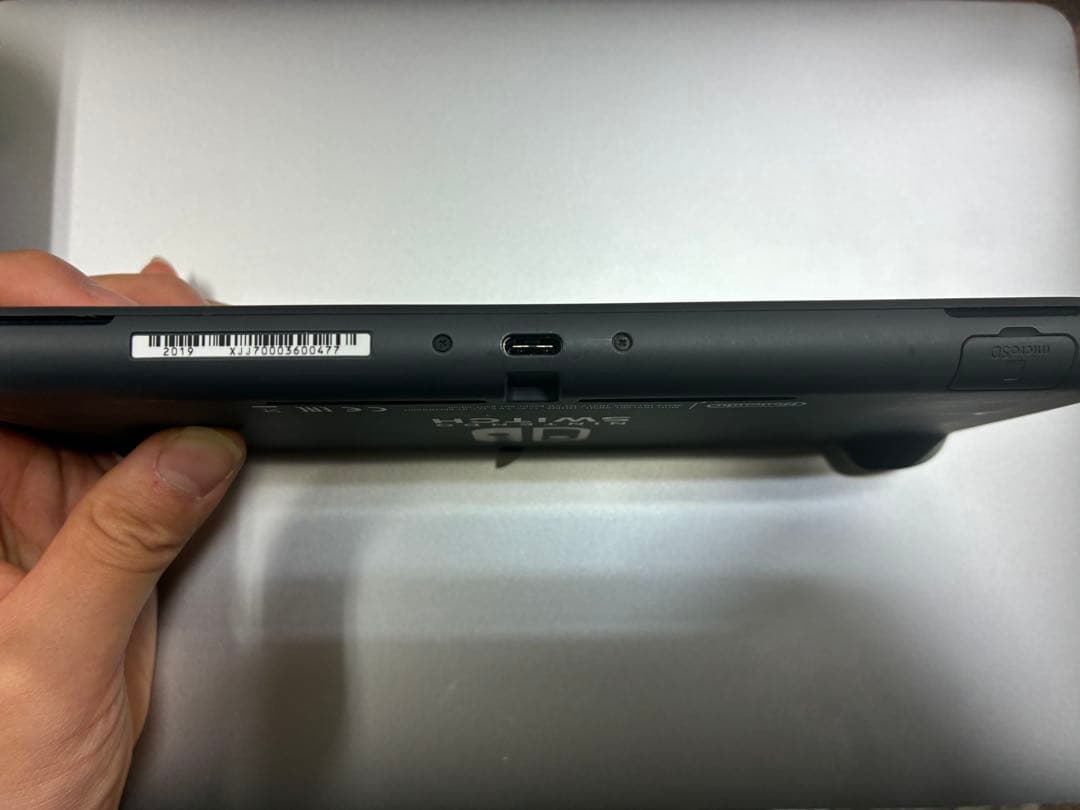 Nintendo Switch Lite 本体 グレー、純正充電器、本体ケース付