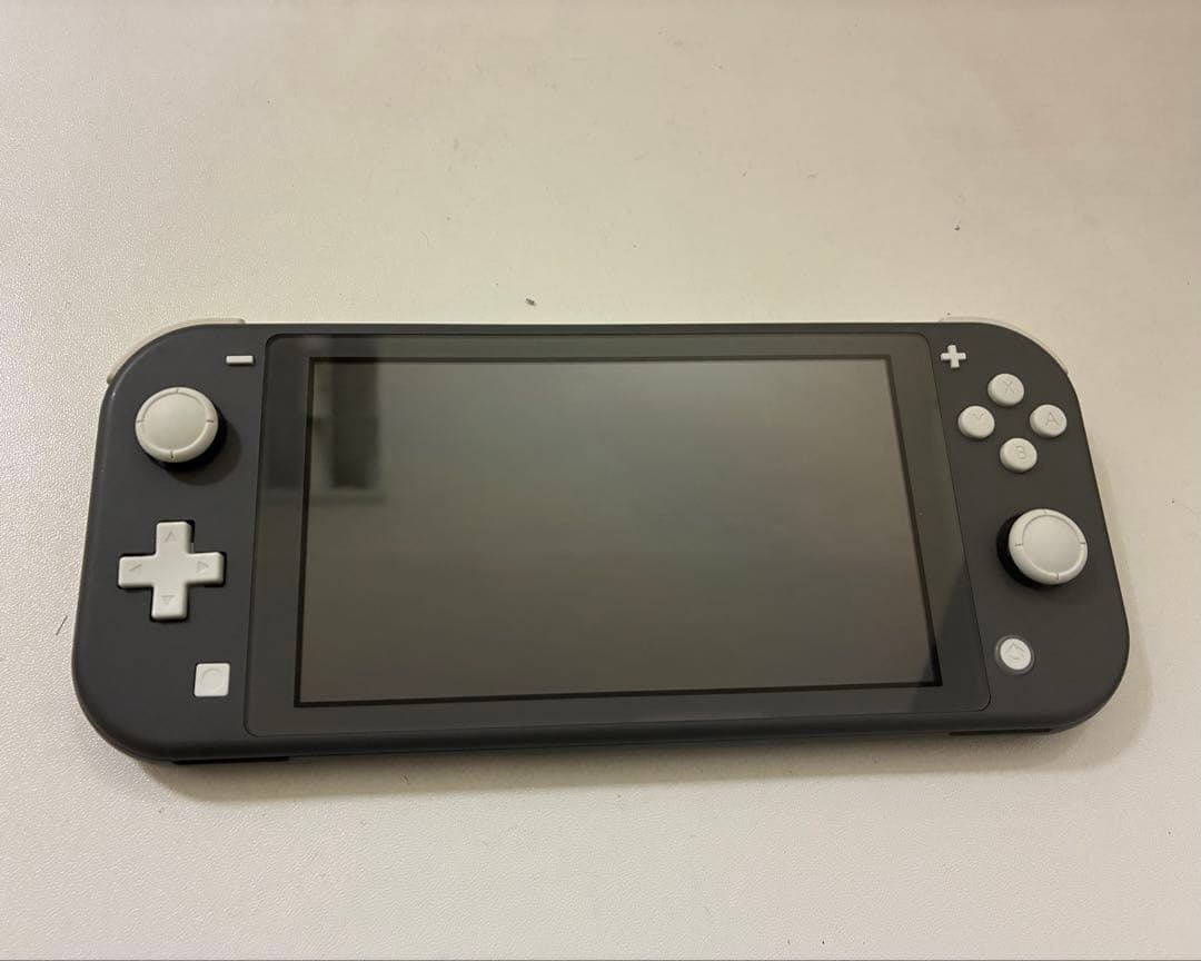 Nintendo Switch Lite 本体 グレー、純正充電器、本体ケース付