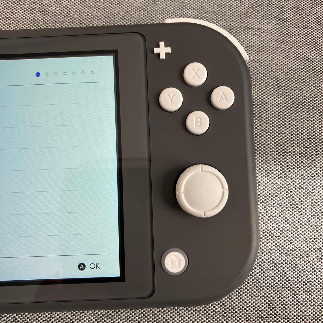 【付属品あり】Switch Light【グレー】