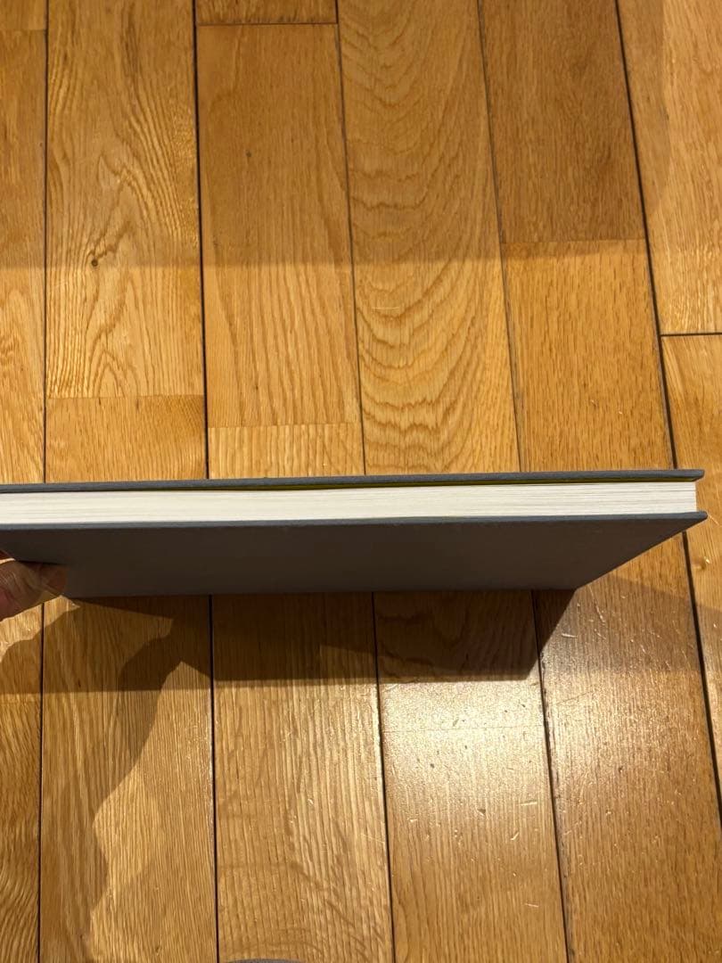 LOS ANGELES CAR CLUB 平野太呂 TARO HIRANO 写真