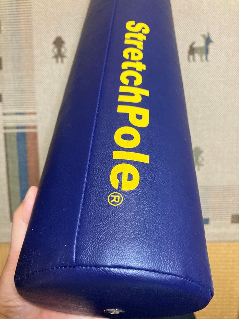 LPN社　StretchPole MX 青 円筒形　女性・高齢者向け