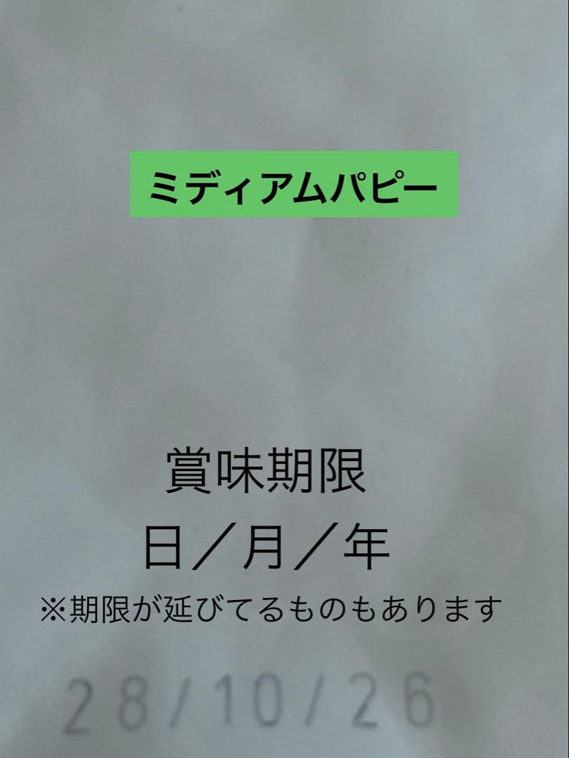 ロイヤルカナン ミディアムパピー16kg