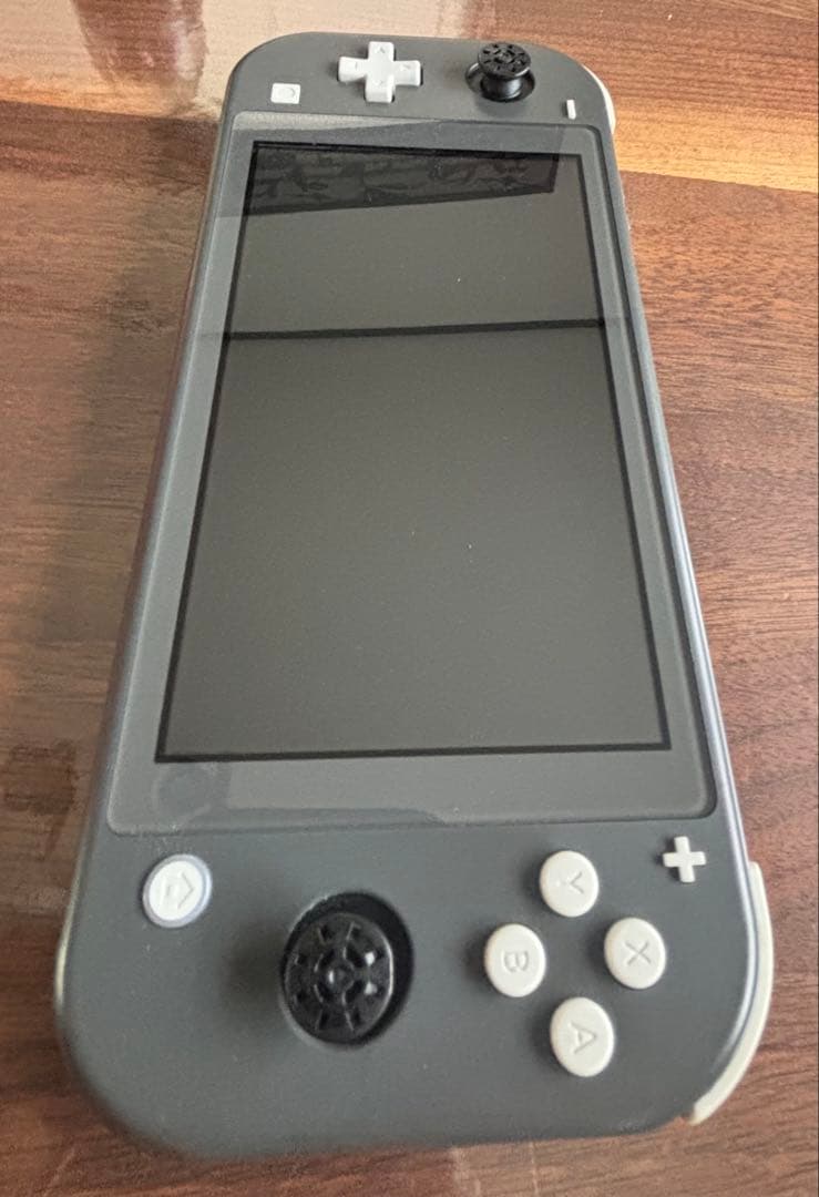 Nintendo Switch Lite 本体 2台セット　ジャクソン品