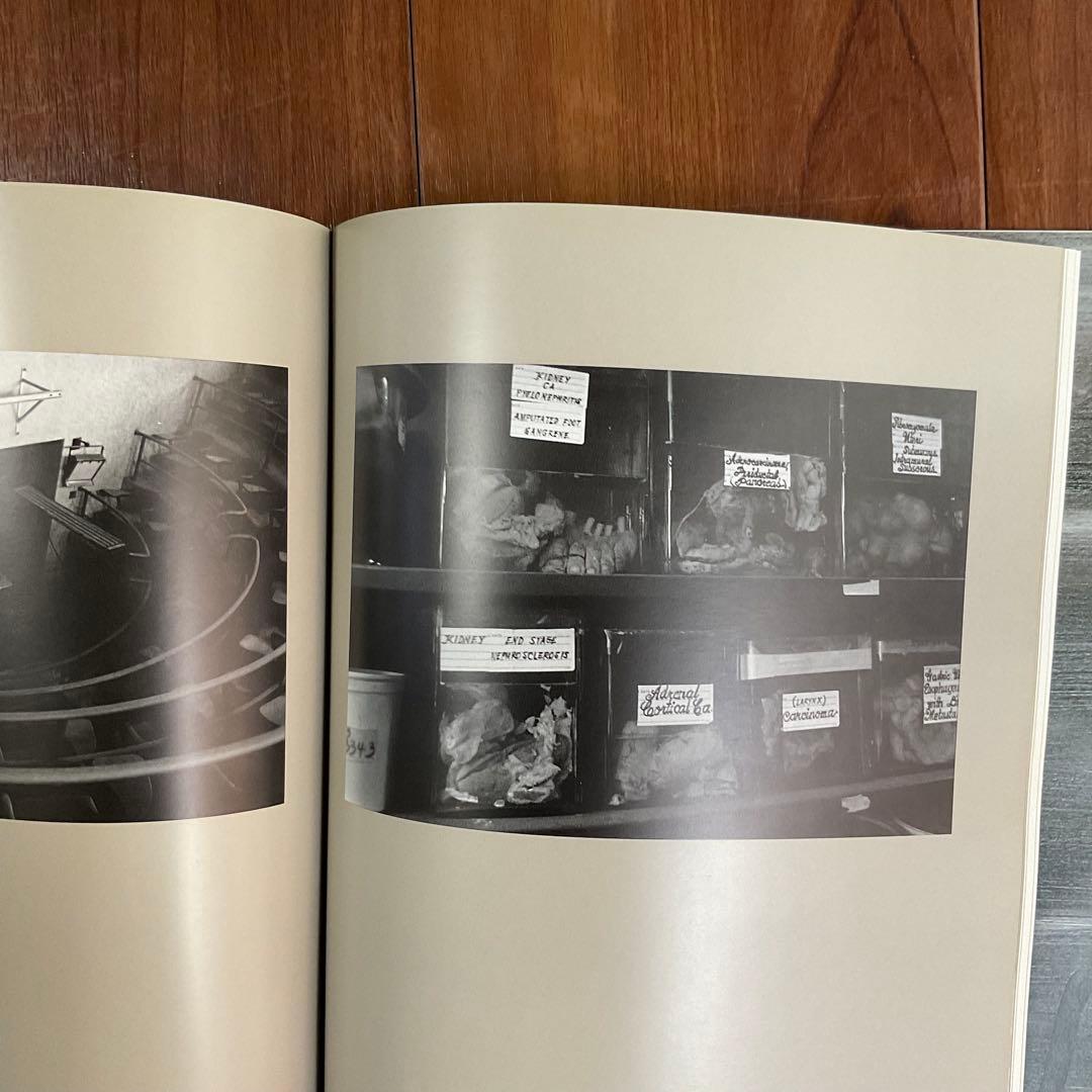 デヴィッド・リンチ展覧会カタログ（1992年スペイン英語併記）東京1996年購入