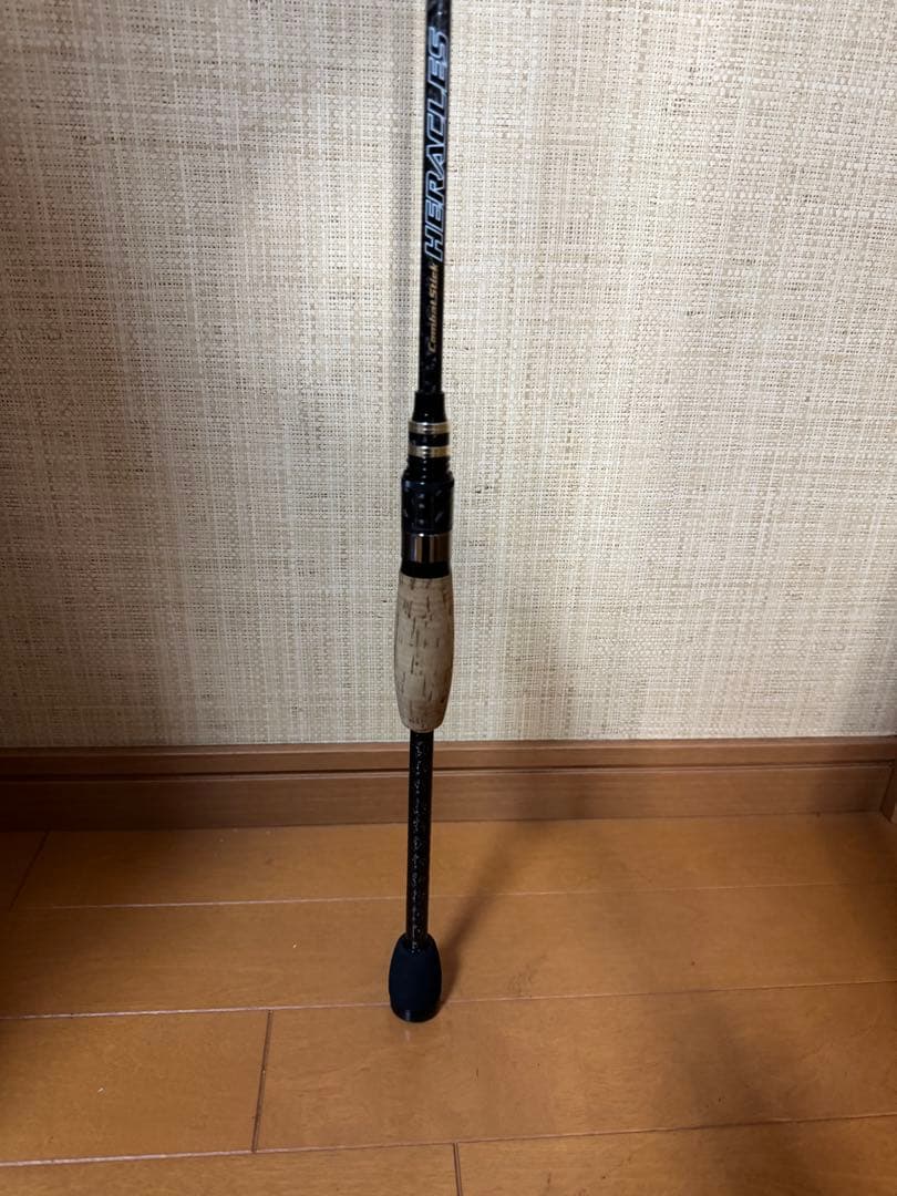 ゆずぽん　FACT HFAS-65ULST EVERGREEN